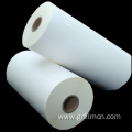 Thermoforming Transparent Plastic Film Polyproplene Roll